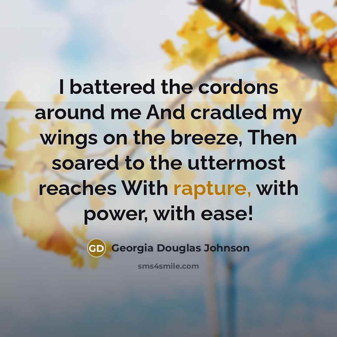 “I battered the cordons around me And cradled my wings…” quote by Georgia Douglas Johnson