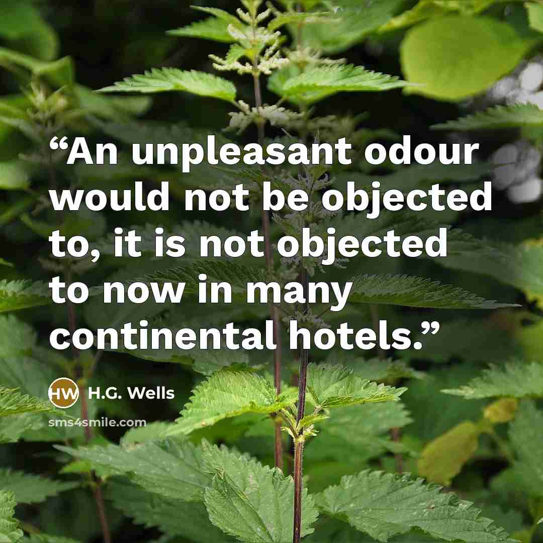 “An unpleasant odour would not be objected to, it is not objected to now in many continental hotels.” quote by H.G. Wells