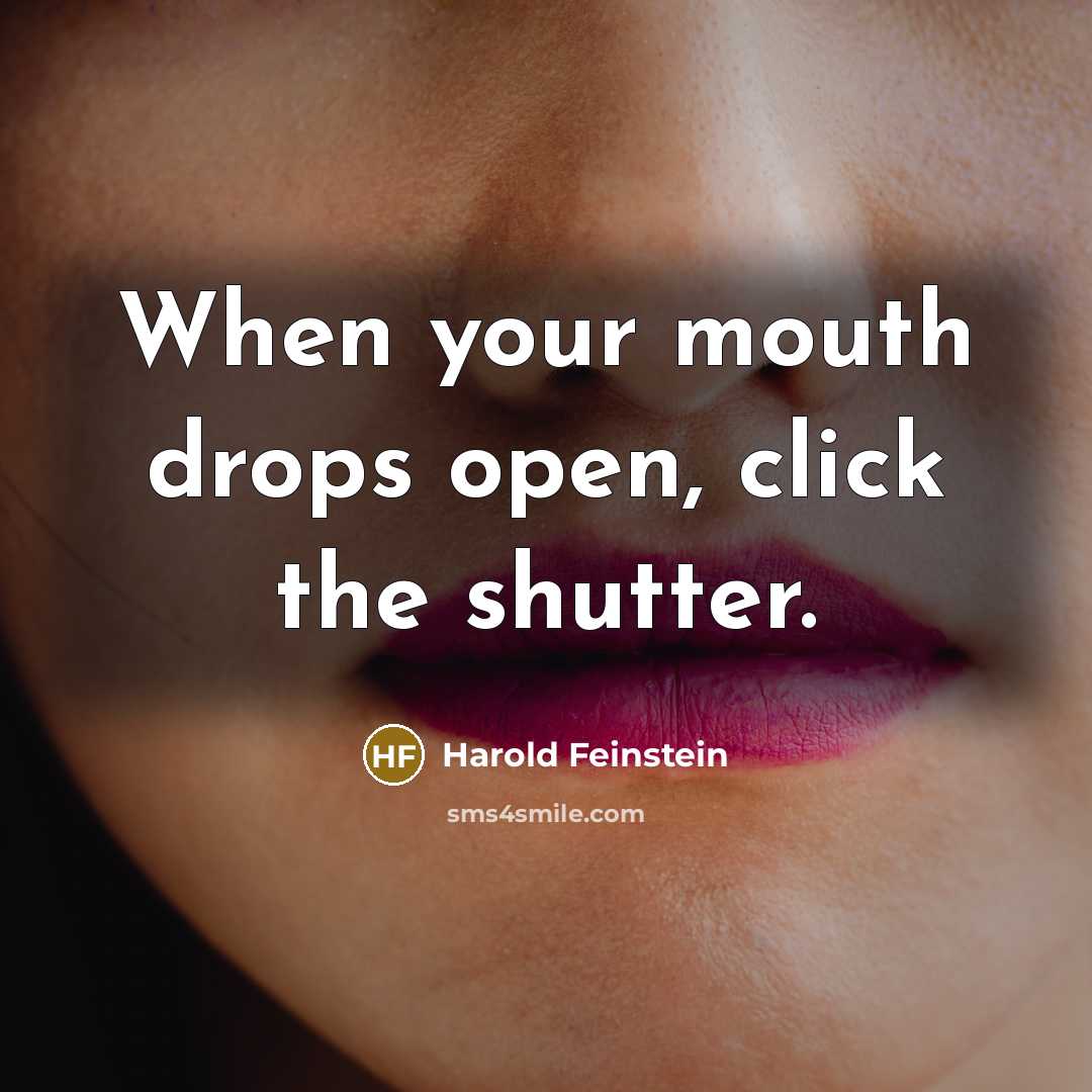 “When your mouth drops open, click the shutter.” quote by Harold Feinstein