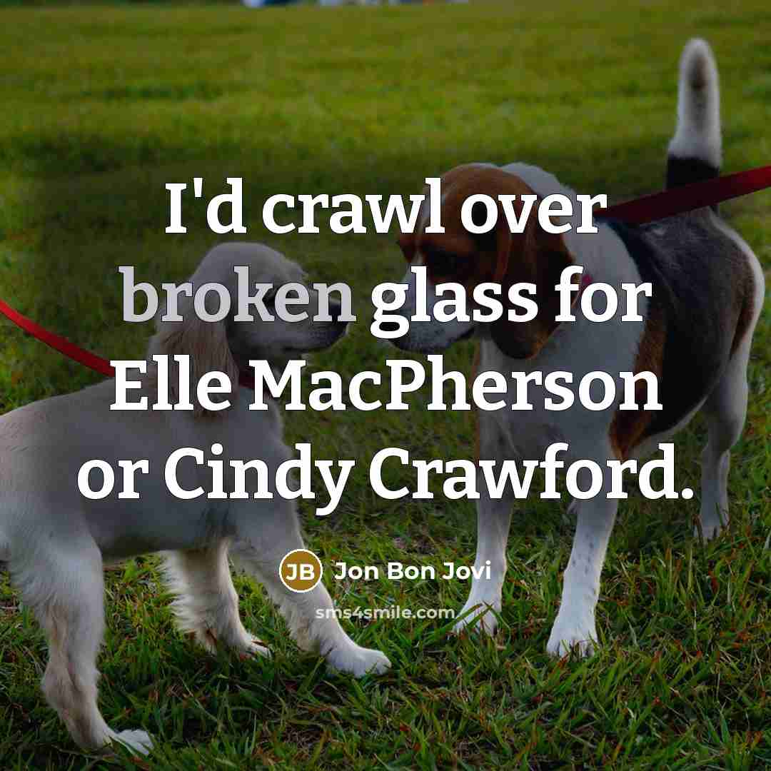 “I'd crawl over broken glass for Elle MacPherson or Cindy…” quote by Jon Bon Jovi