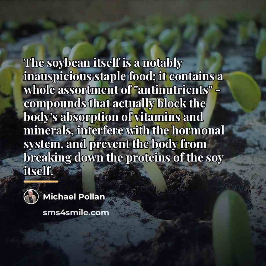 “The soybean itself is a notably inauspicious staple food; it…” quote by Michael Pollan