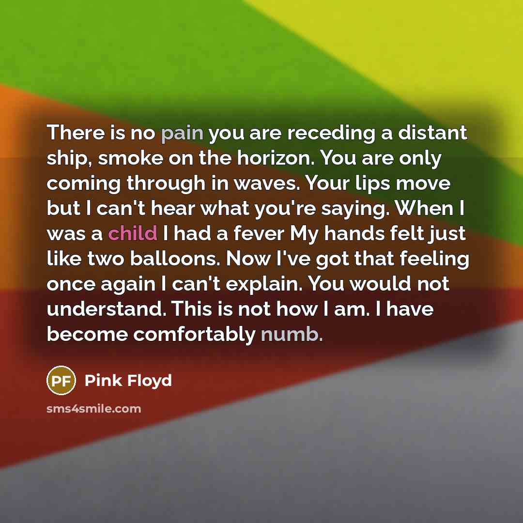 “There is no pain you are receding a distant ship, smoke on the horizon. You are only coming through in waves. Your lips move but I can't hear what you're saying. When I was a child I had a fever My hands felt just like two balloons. Now I've got that feeling once again I can't explain. You would…” quote by Pink Floyd