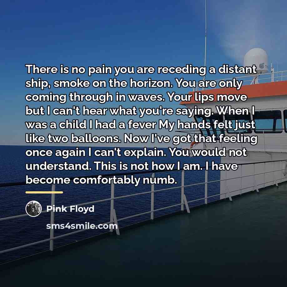 “There is no pain you are receding a distant ship,…” quote by Pink Floyd