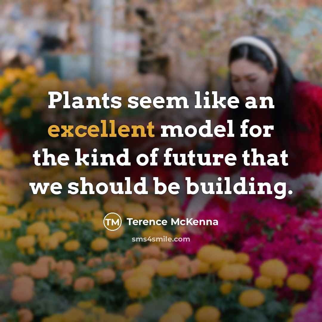 “Plants seem like an excellent model for the kind of…” quote by Terence McKenna