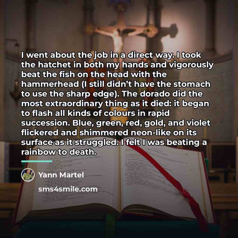 “I went about the job in a direct way. I…” quote by Yann Martel