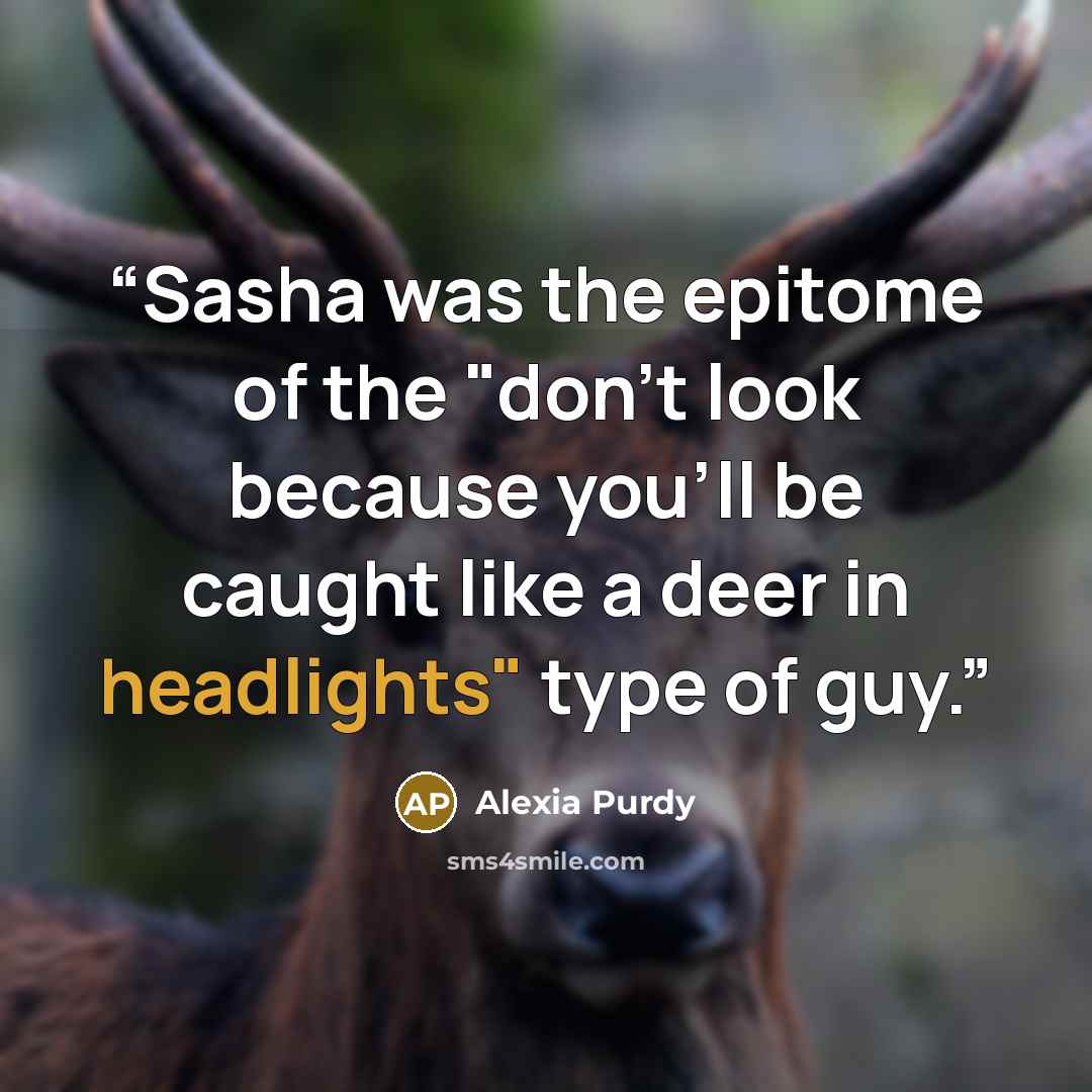 “Sasha was the epitome of the "don't look because you'll be caught like a deer in headlights" type of guy.” quote by Alexia Purdy