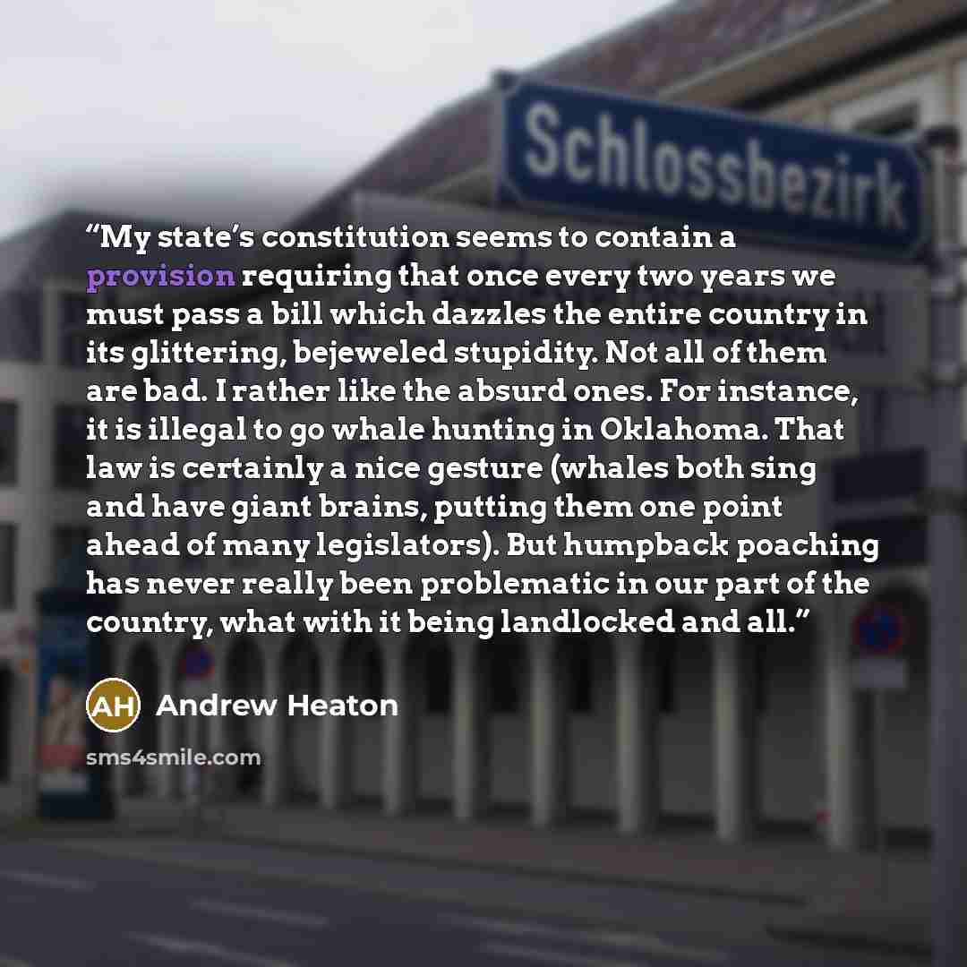 “My state’s constitution seems to contain a provision requiring that once every two years we must pass a bill which dazzles the entire country in its glittering, bejeweled stupidity. Not all of them are bad. I rather like the absurd ones. For instance, it is illegal to go whale hunting in Oklahoma…” quote by Andrew Heaton