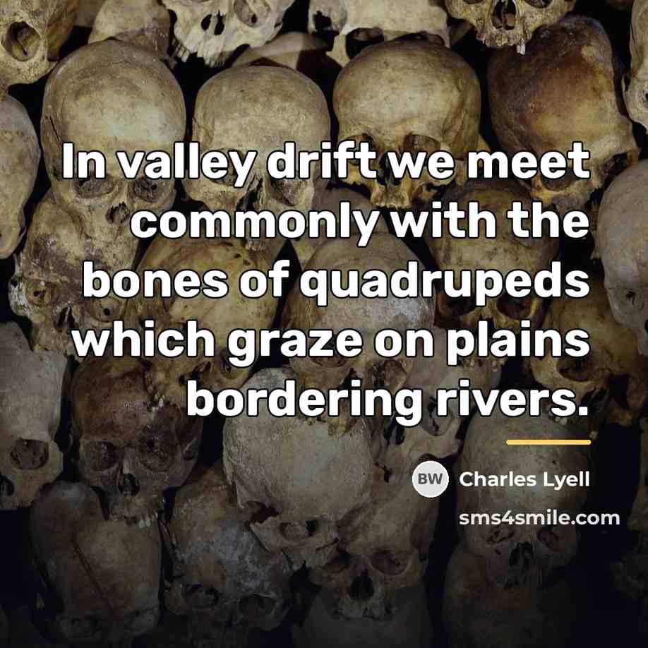 “In valley drift we meet commonly with the bones of…” quote by Charles Lyell