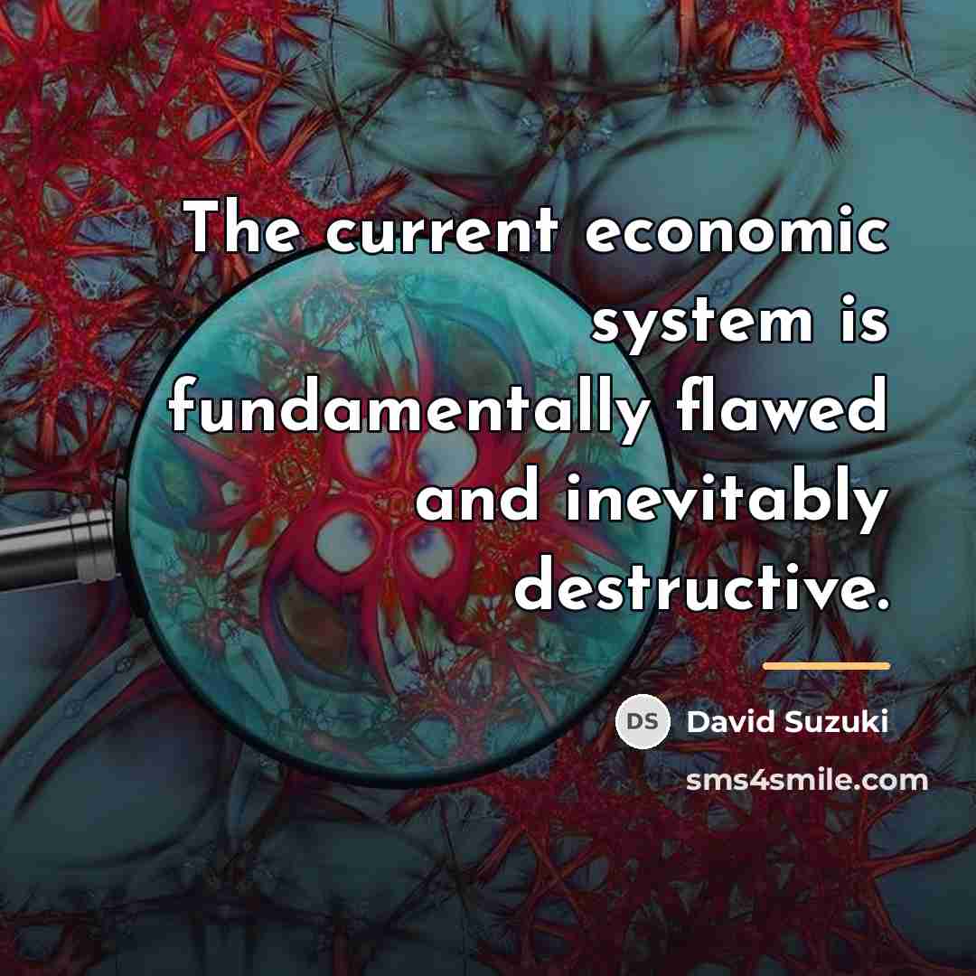 “The current economic system is fundamentally flawed and inevitably destructive.…” quote by David Suzuki