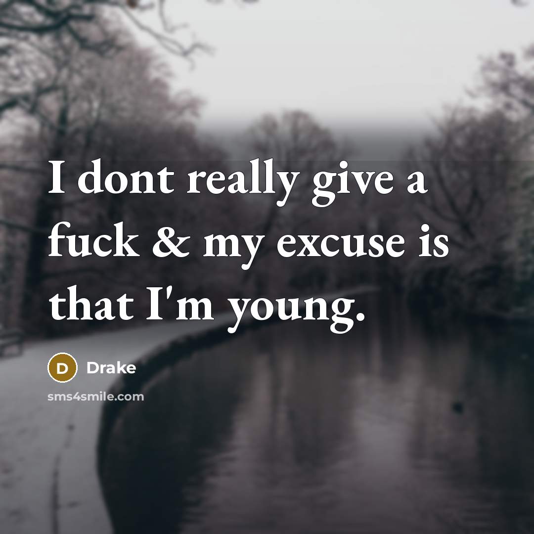 “I dont really give a fuck & my excuse is that I'm young.” quote by Drake