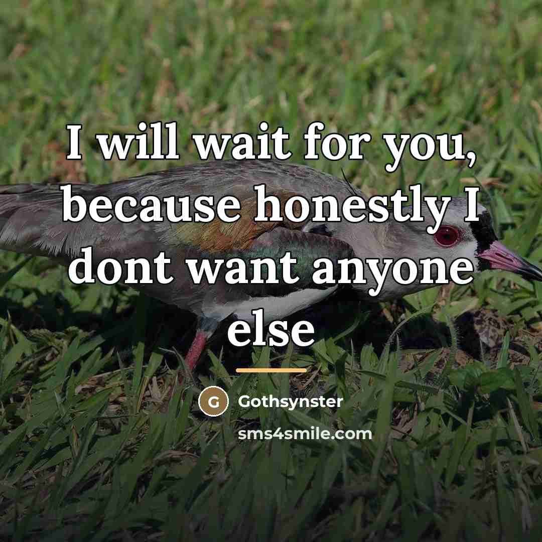 “I will wait for you, because honestly I dont want…” quote by Gothsynster