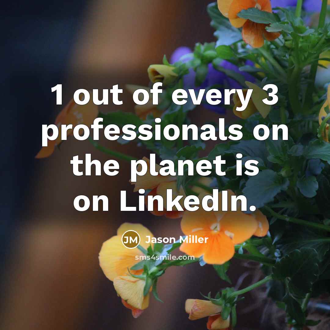 “1 out of every 3 professionals on the planet is…” quote by Jason Miller