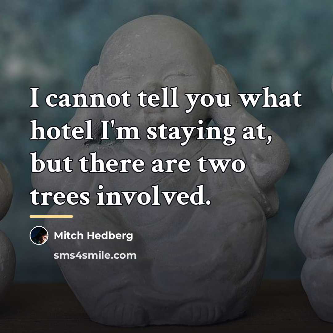 “I cannot tell you what hotel I'm staying at, but…” quote by Mitch Hedberg