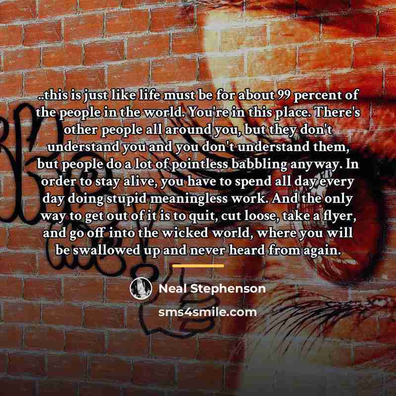 “..this is just like life must be for about 99…” quote by Neal Stephenson