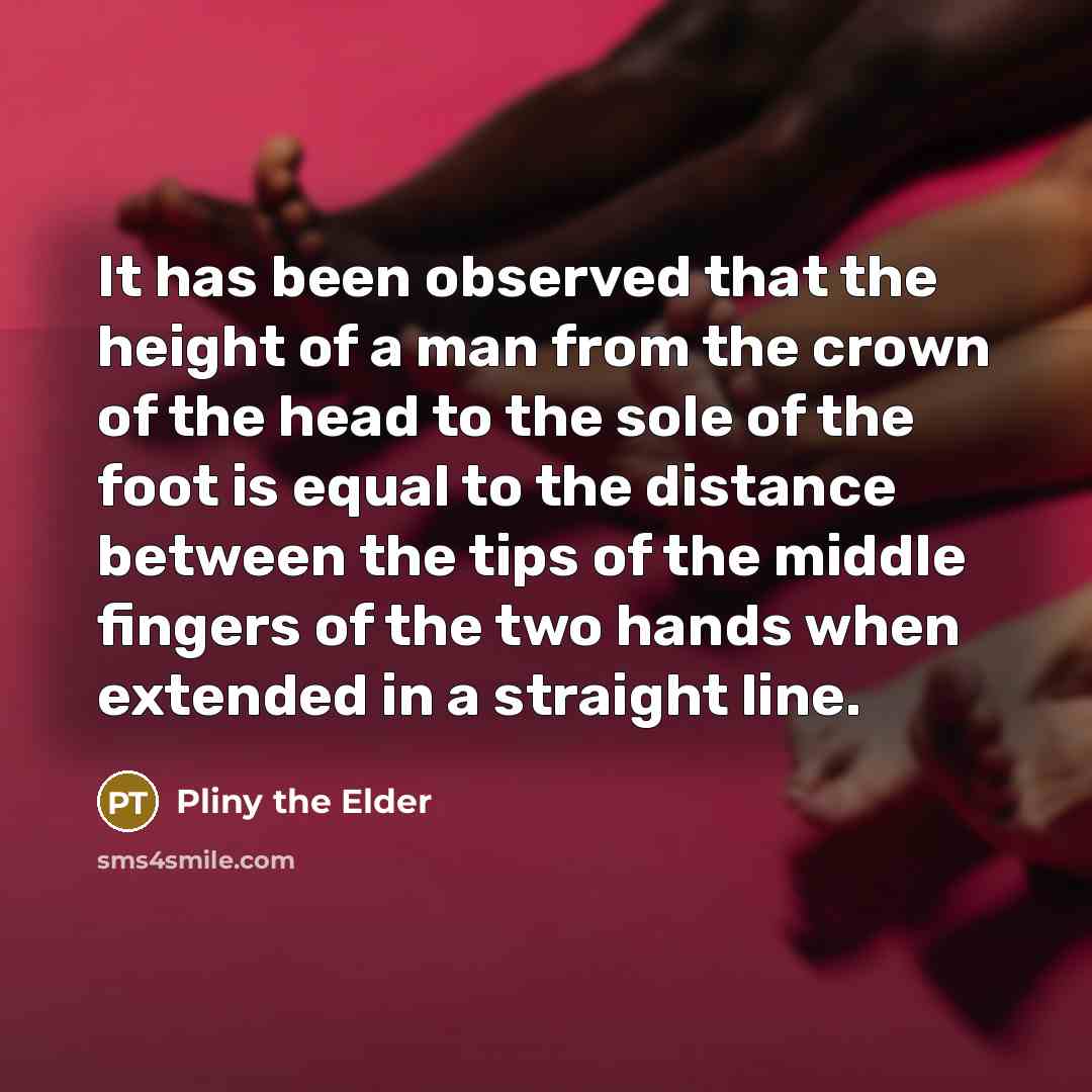 “It has been observed that the height of a man…” quote by Pliny the Elder