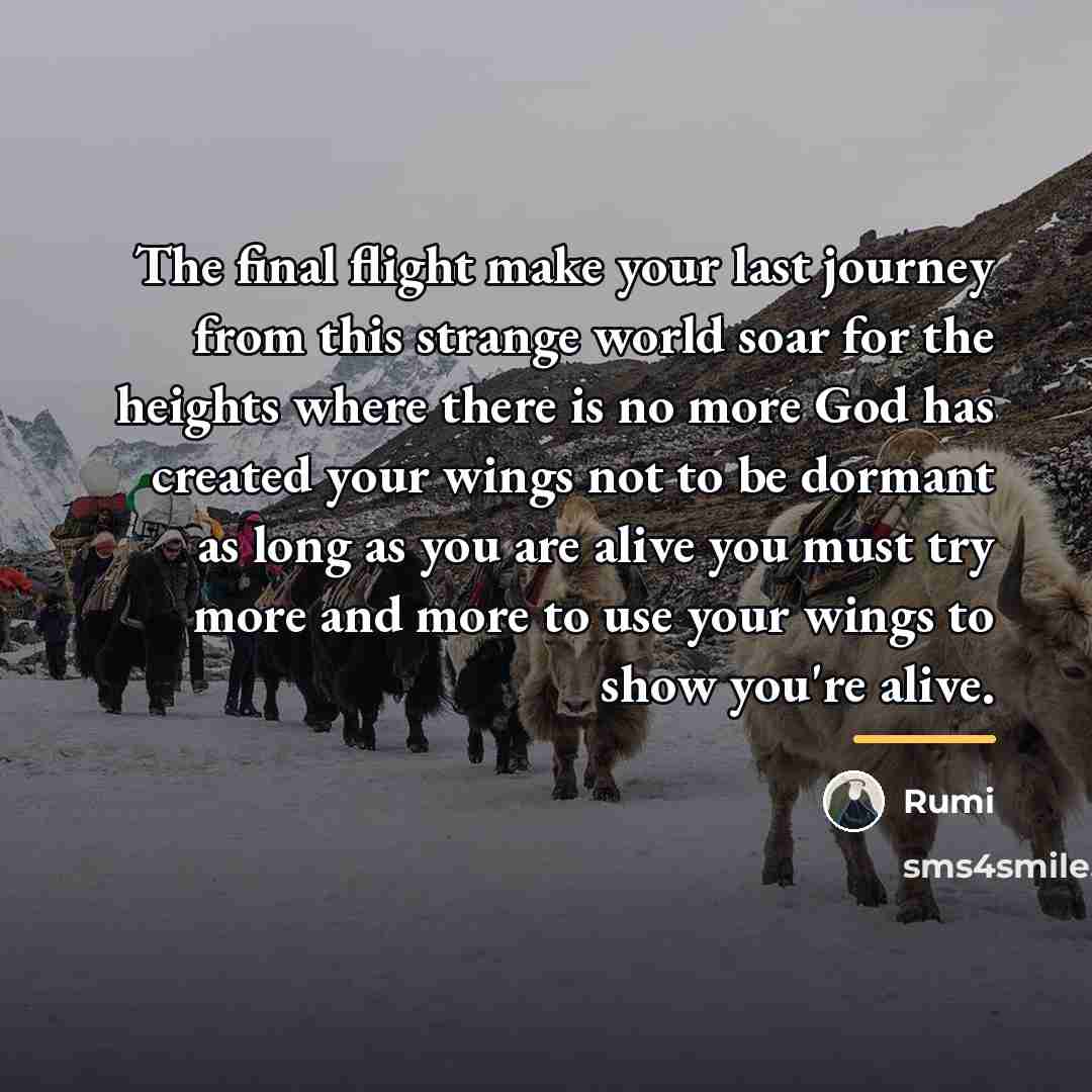 “The final flight make your last journey from this strange…” quote by Rumi