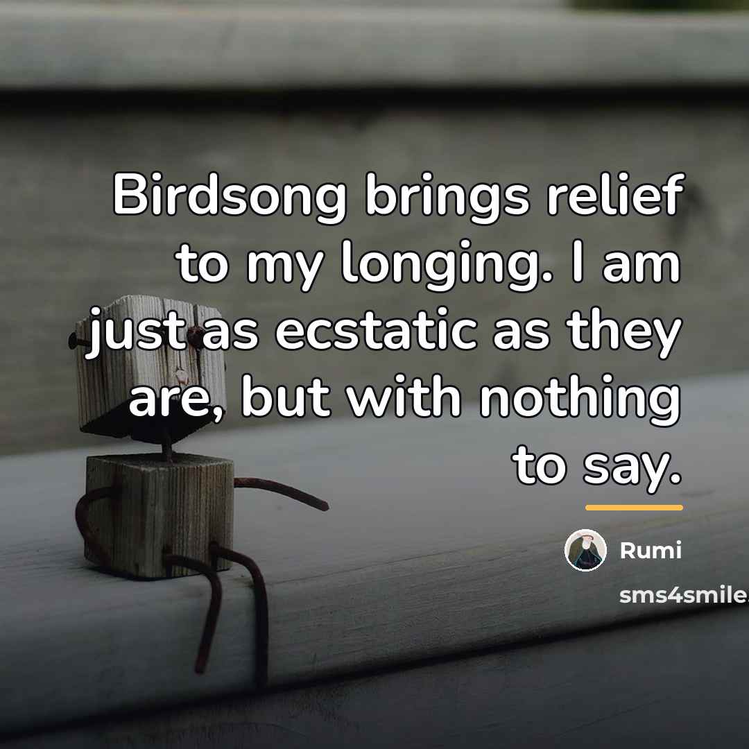 “Birdsong brings relief to my longing. I am just as…” quote by Rumi