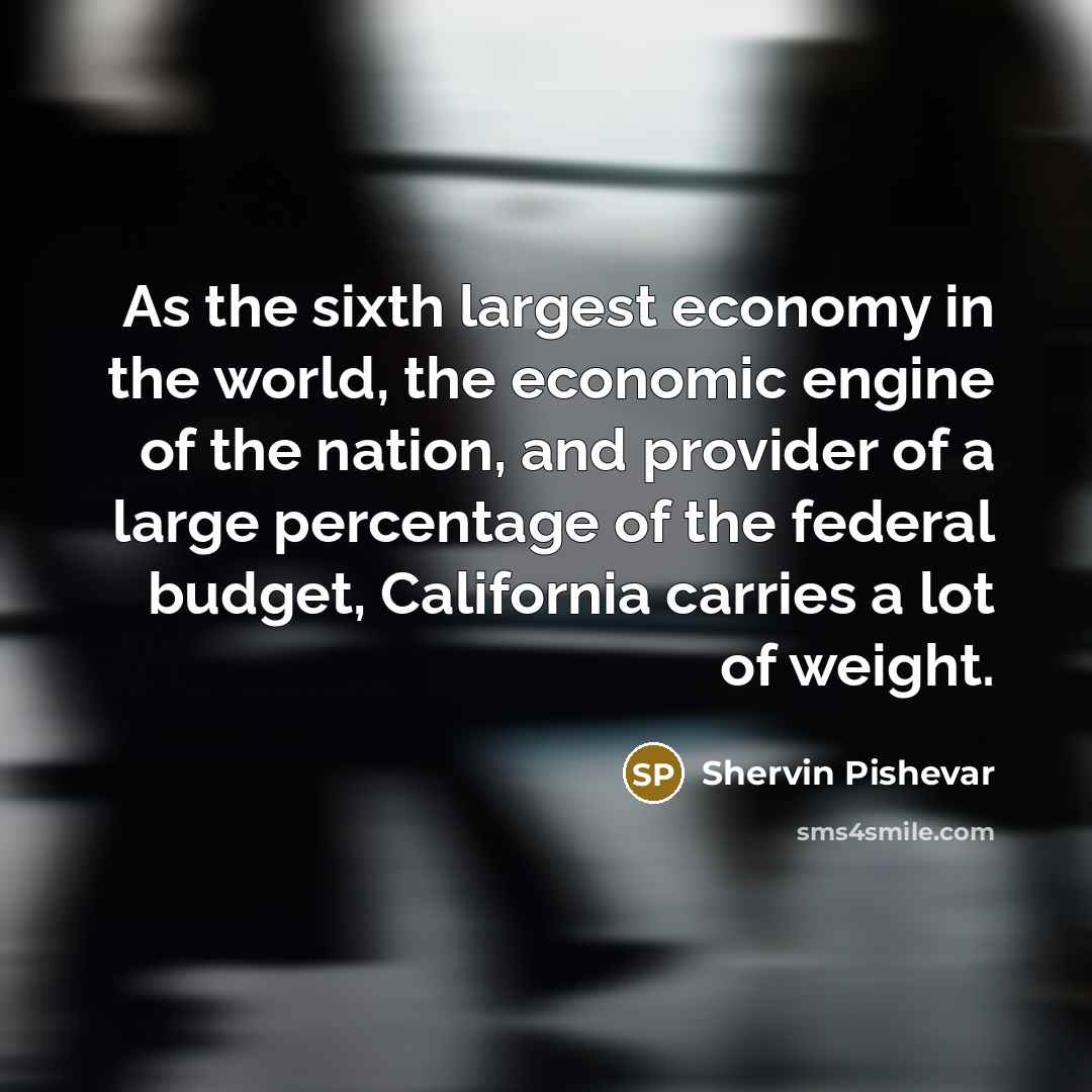 “As the sixth largest economy in the world, the economic…” quote by Shervin Pishevar