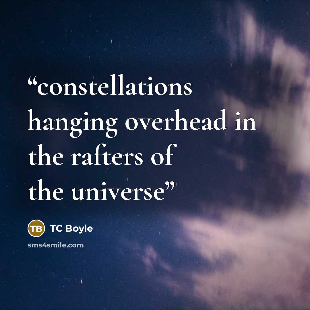 “constellations hanging overhead in the rafters of the universe” quote by TC Boyle