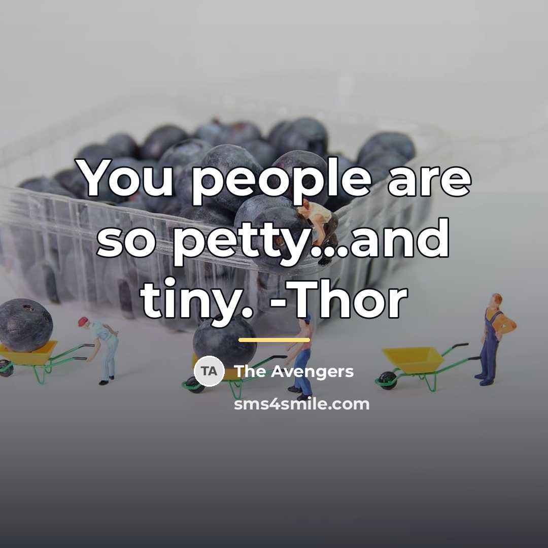 “You people are so petty...and tiny. -Thor…” quote by The Avengers