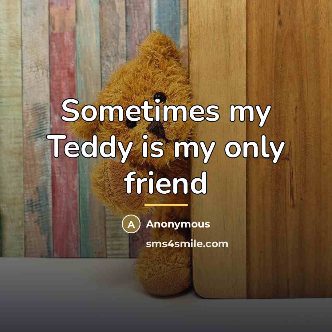“Sometimes my Teddy is my only friend…” quote by Anonymous