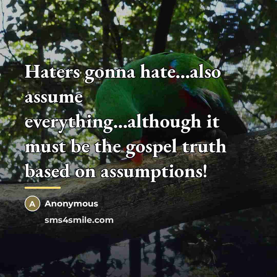 “Haters gonna hate...also assume everything...although it must be the gospel…” quote by Anonymous