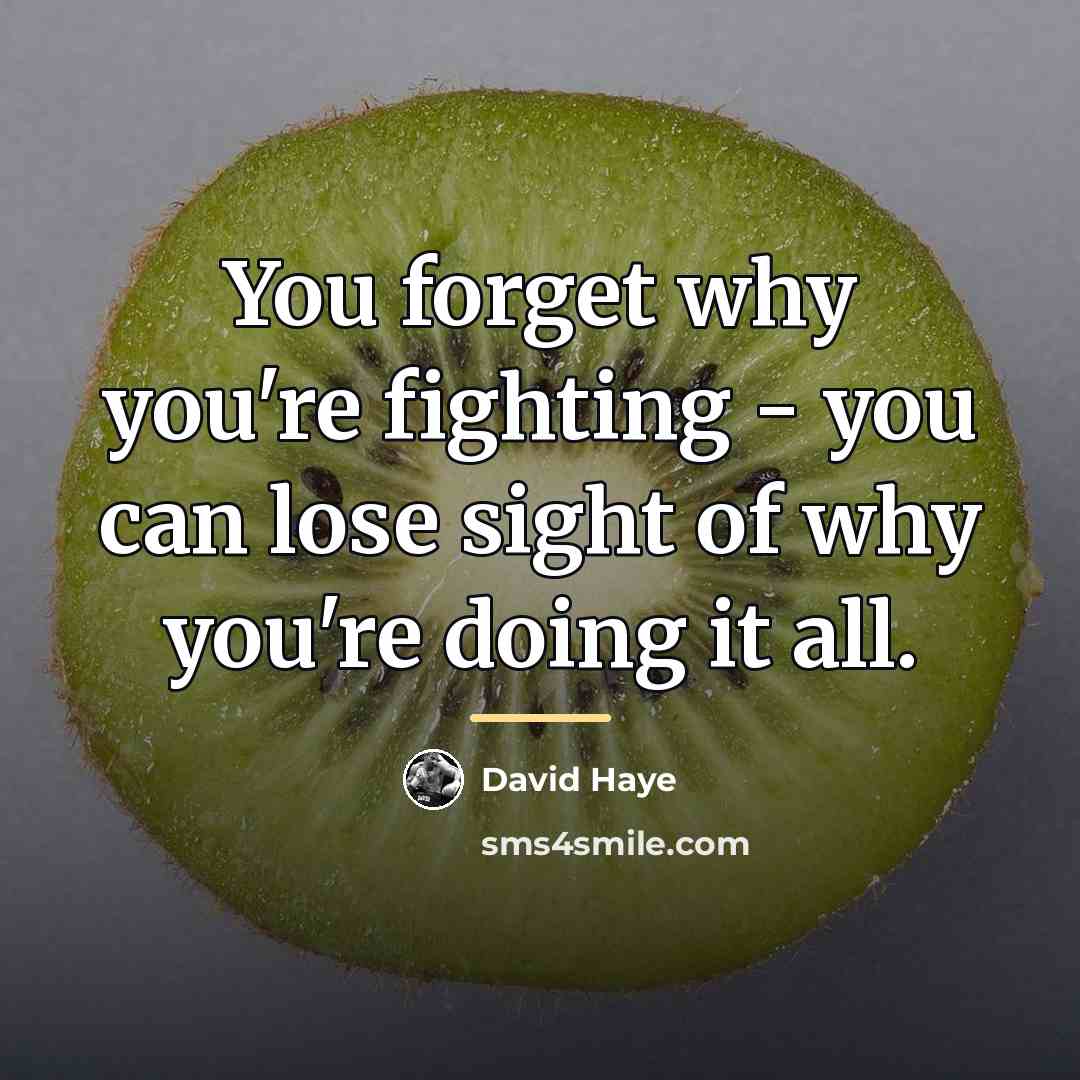 “You forget why you're fighting - you can lose sight…” quote by David Haye