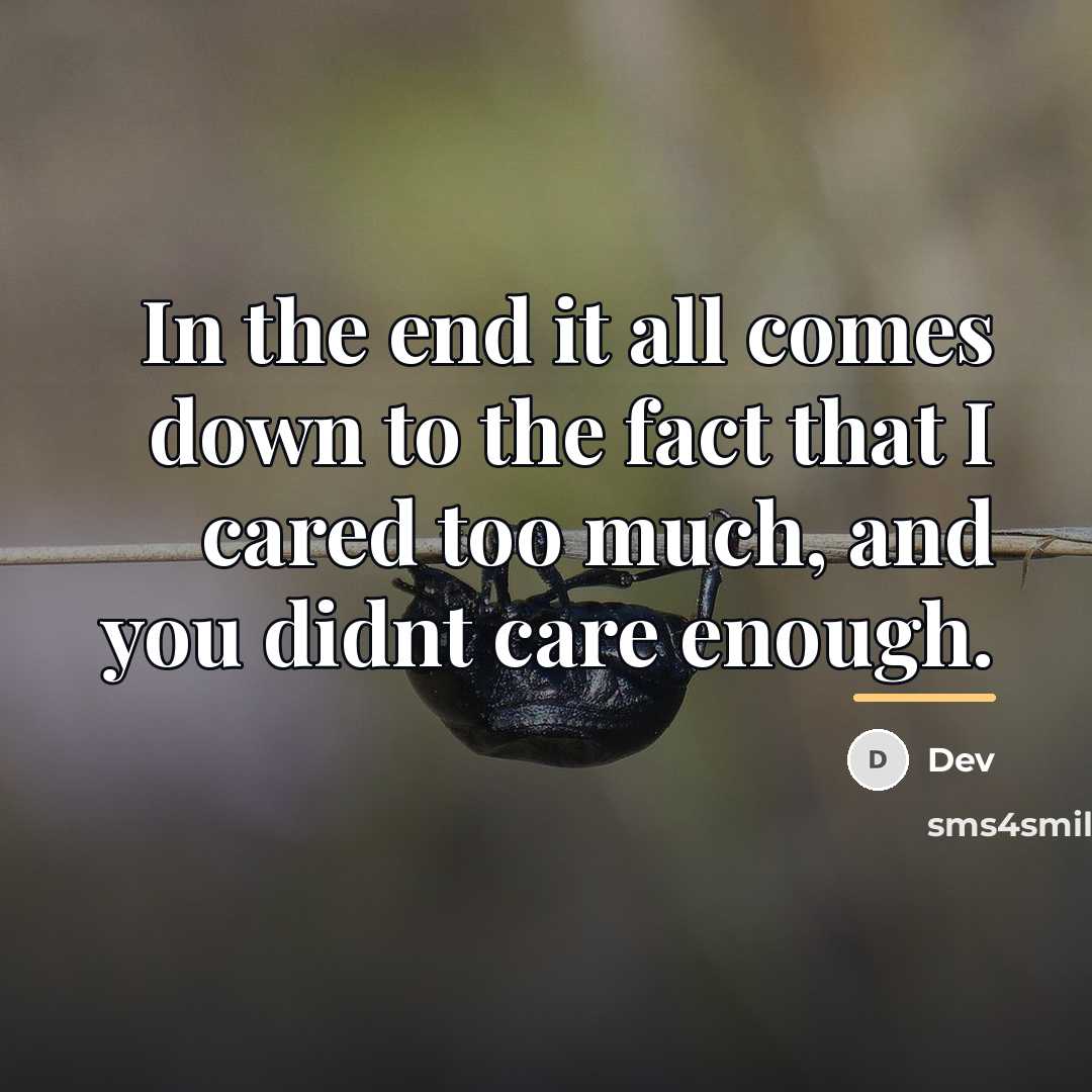 “In the end it all comes down to the fact…” quote by Dev