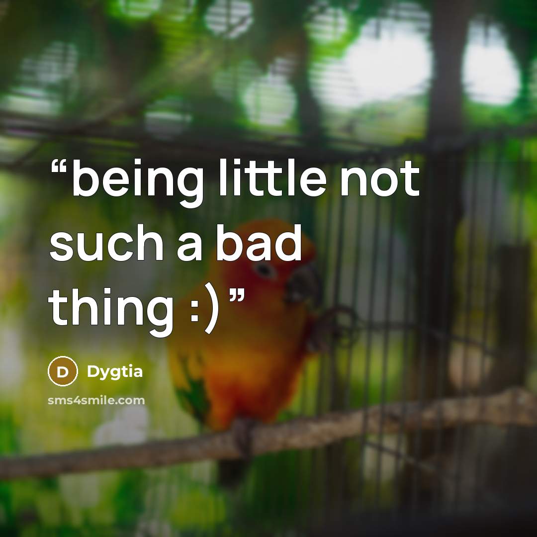 “being little not such a bad thing :)” quote by Dygtia