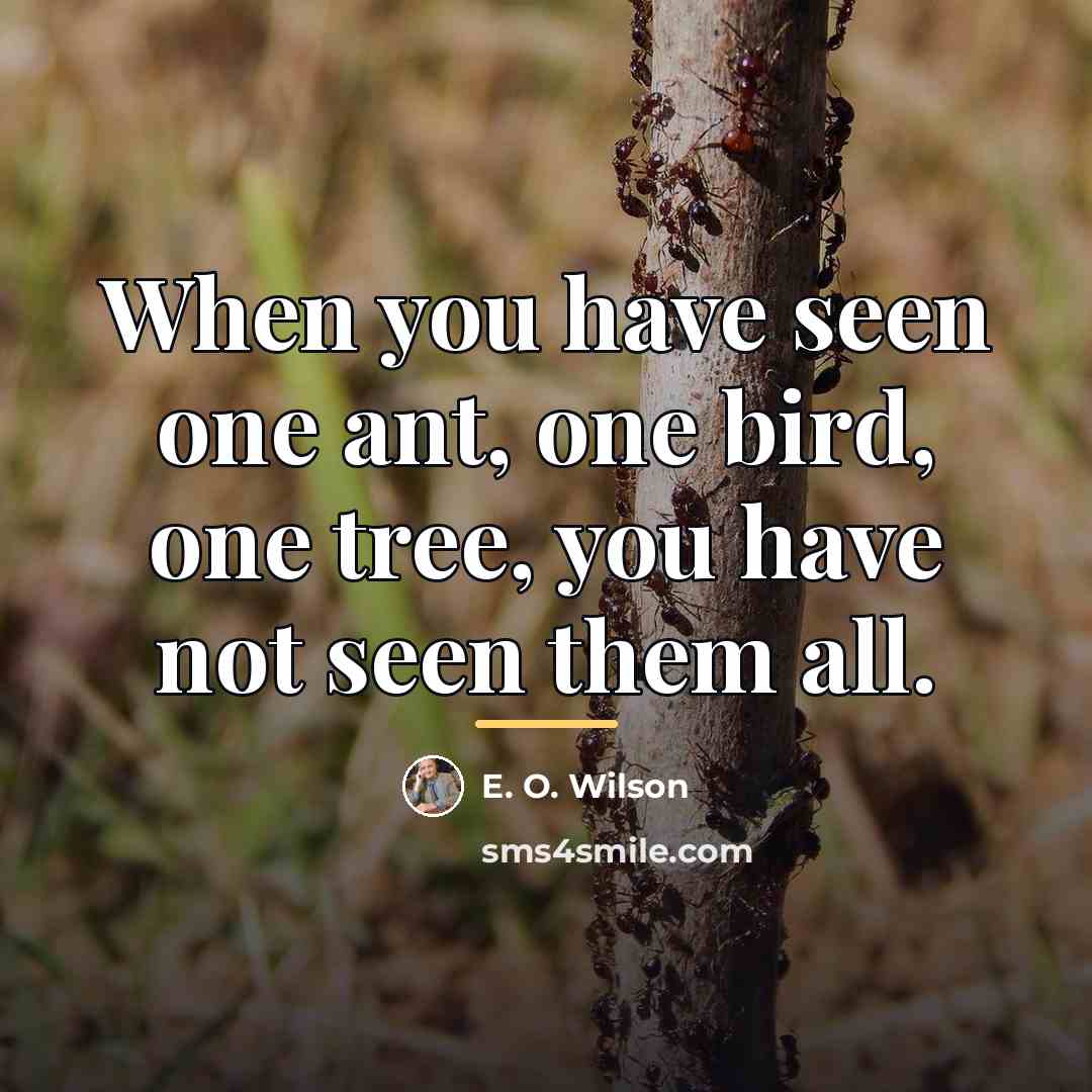 “When you have seen one ant, one bird, one tree,…” quote by E. O. Wilson