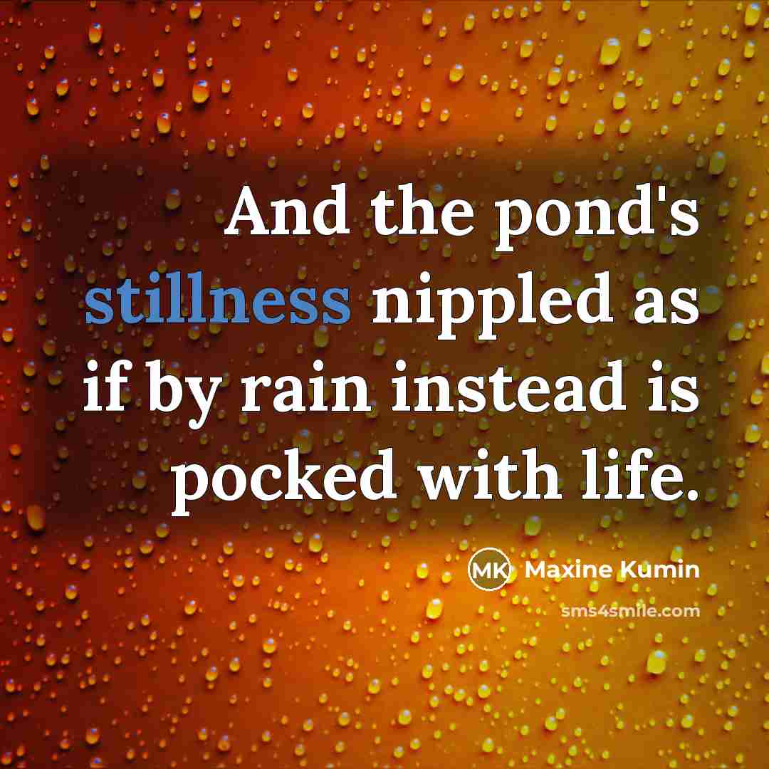 “And the pond's stillness nippled as if by rain instead…” quote by Maxine Kumin