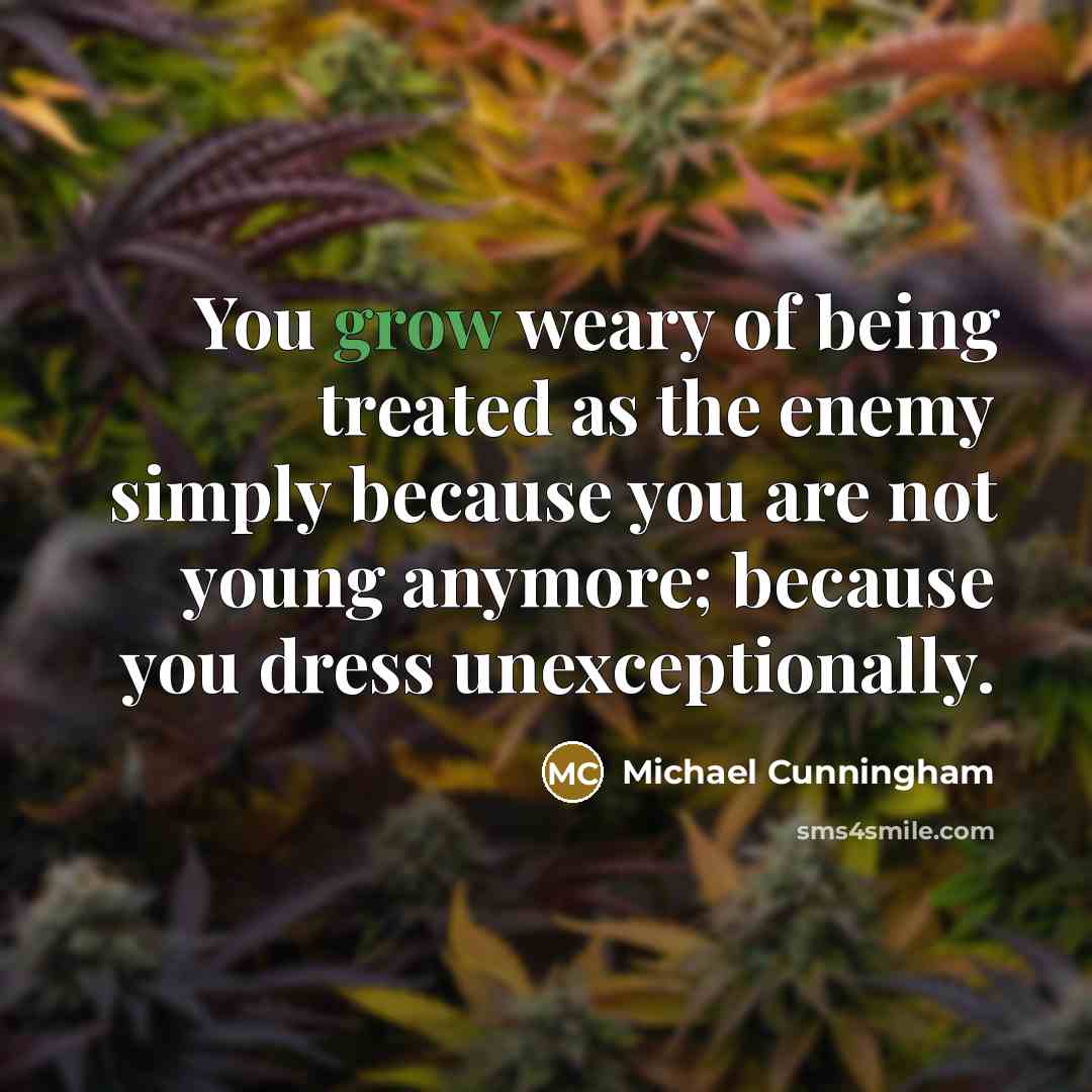 “You grow weary of being treated as the enemy simply…” quote by Michael Cunningham
