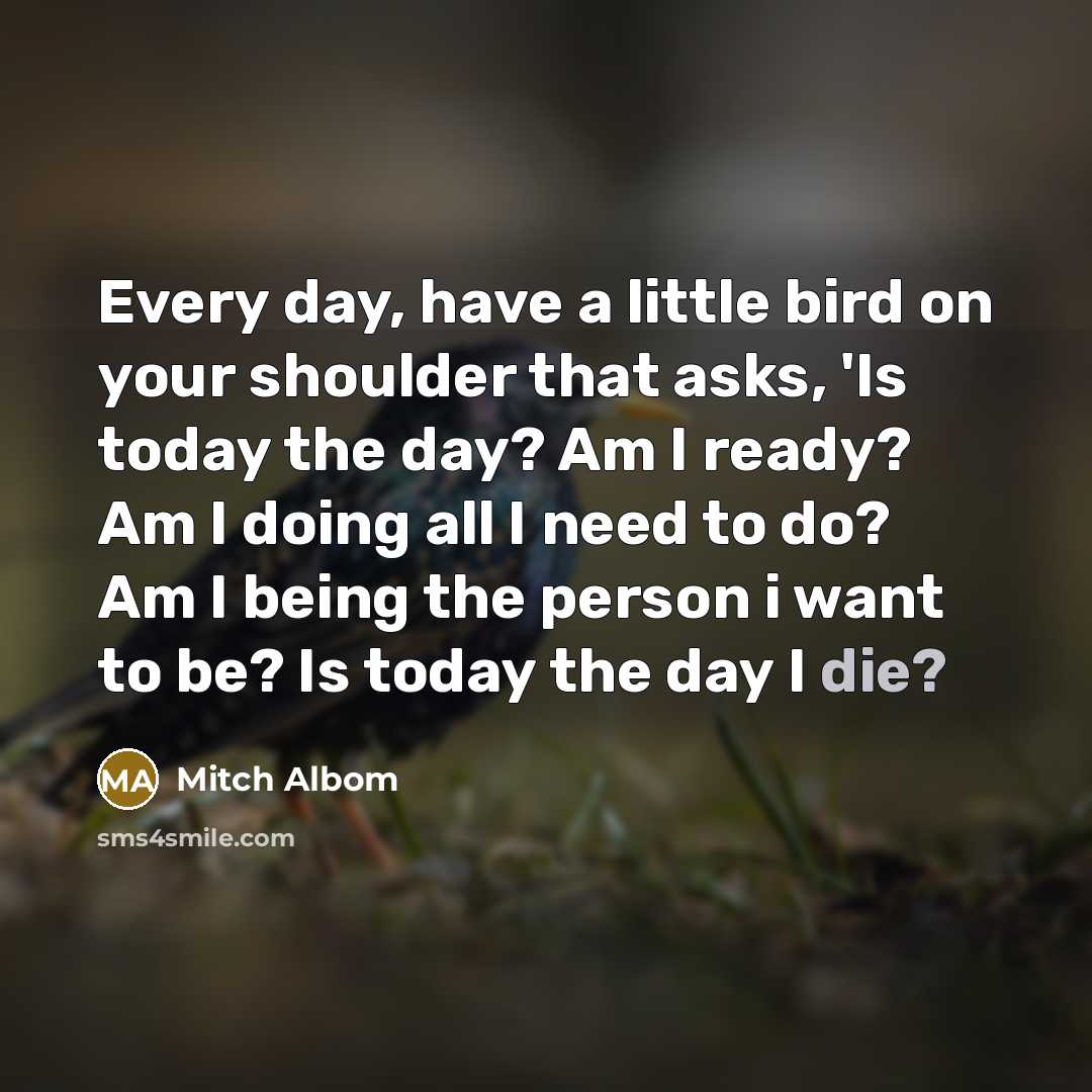 “Every day, have a little bird on your shoulder that…” quote by Mitch Albom