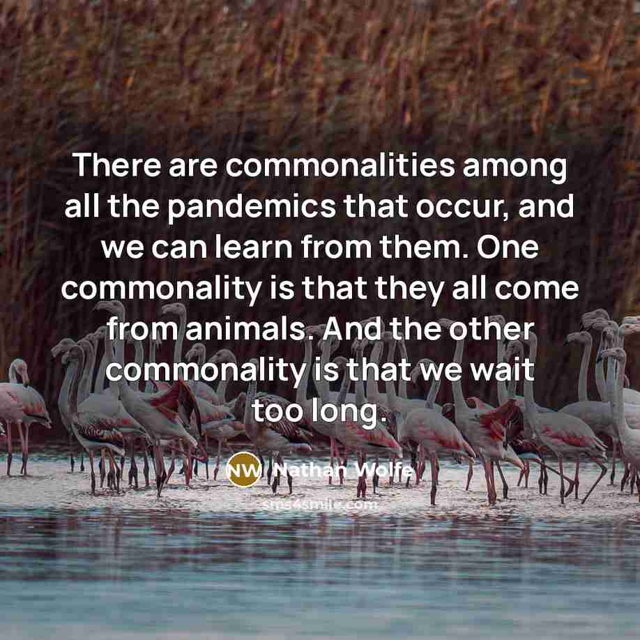 “There are commonalities among all the pandemics that occur, and…” quote by Nathan Wolfe