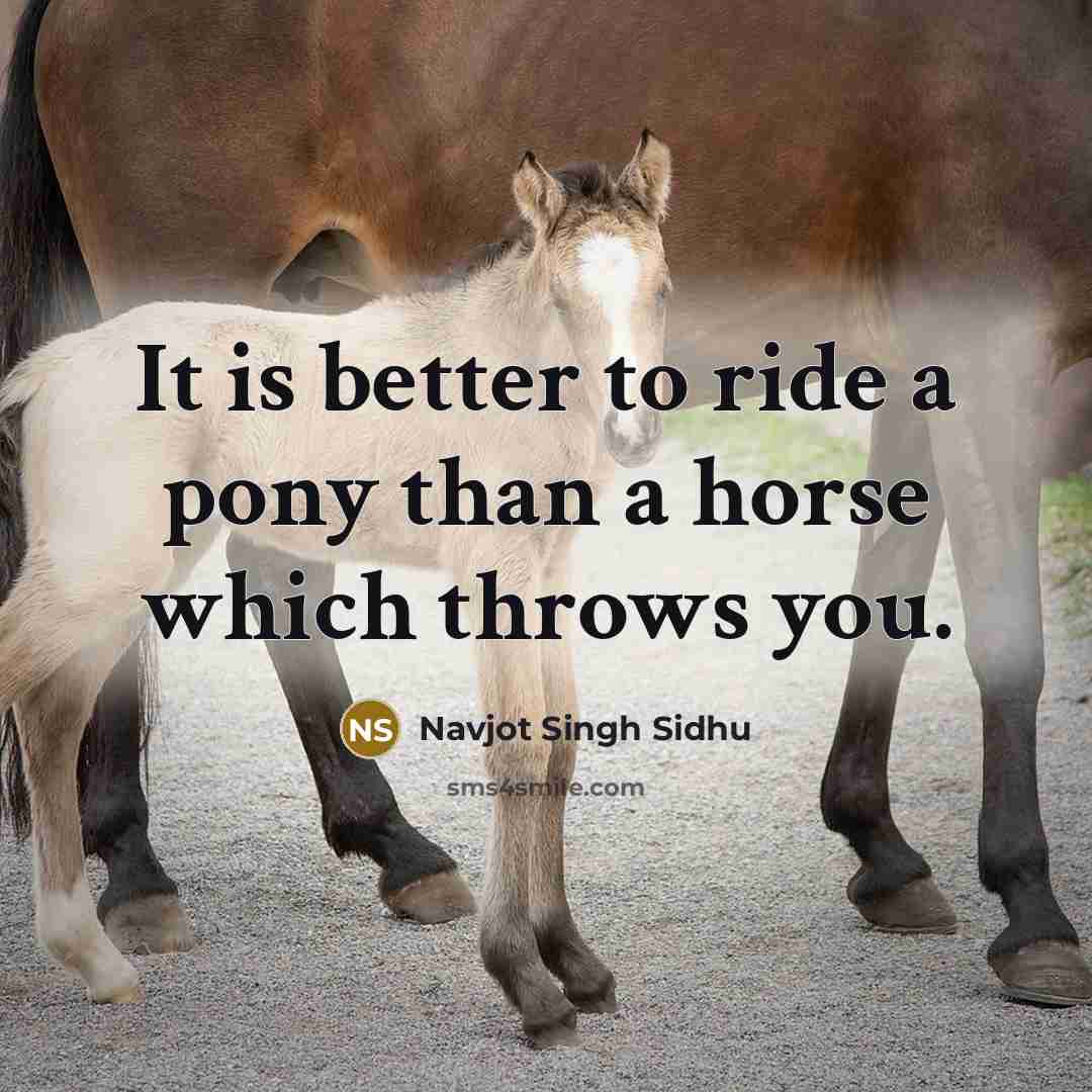 “It is better to ride a pony than a horse…” quote by Navjot Singh Sidhu