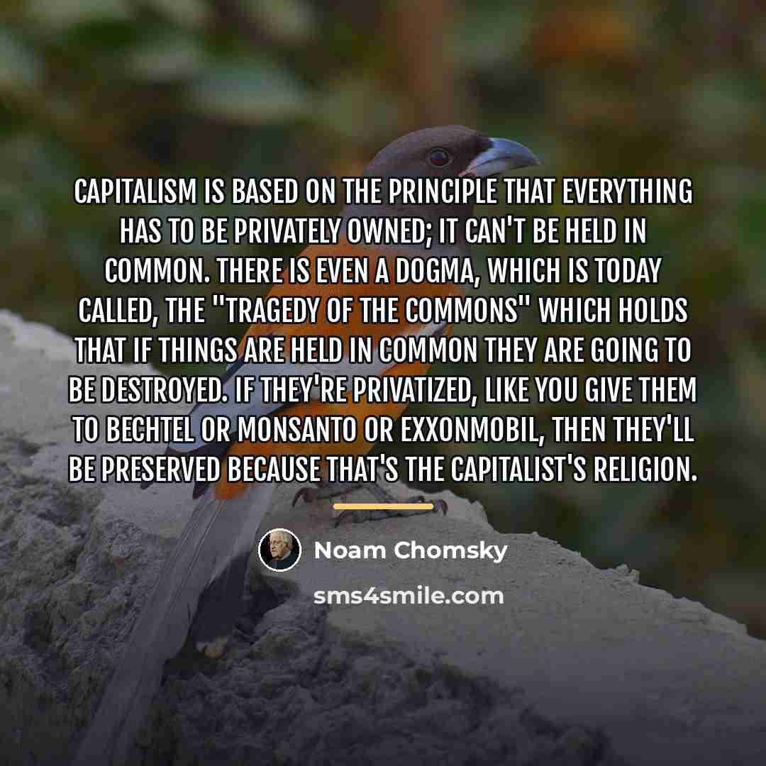 “Capitalism is based on the principle that everything has to…” quote by Noam Chomsky
