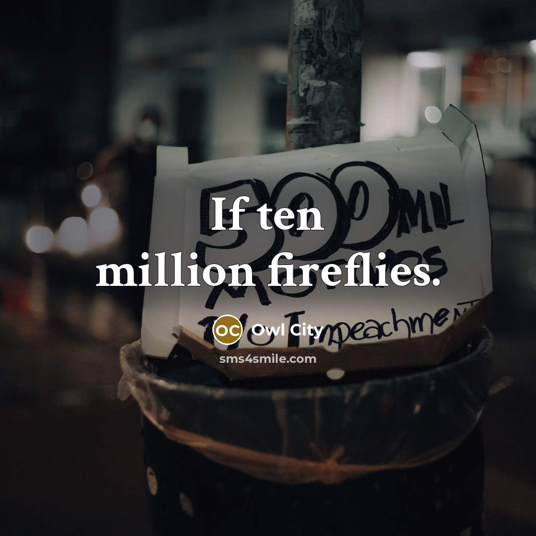 “If ten million fireflies.” quote by Owl City