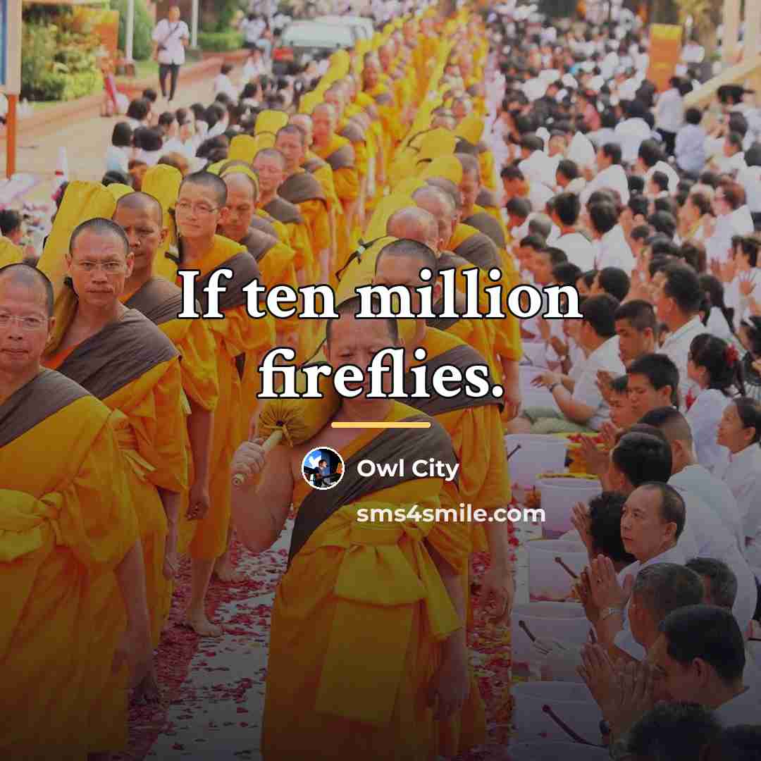 “If ten million fireflies.…” quote by Owl City