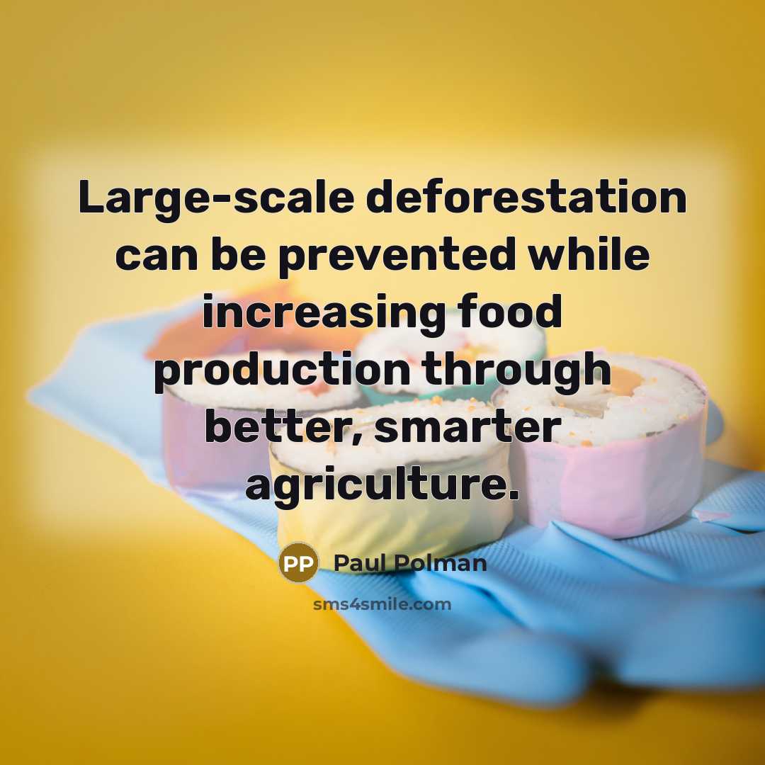 “Large-scale deforestation can be prevented while increasing food production through…” quote by Paul Polman
