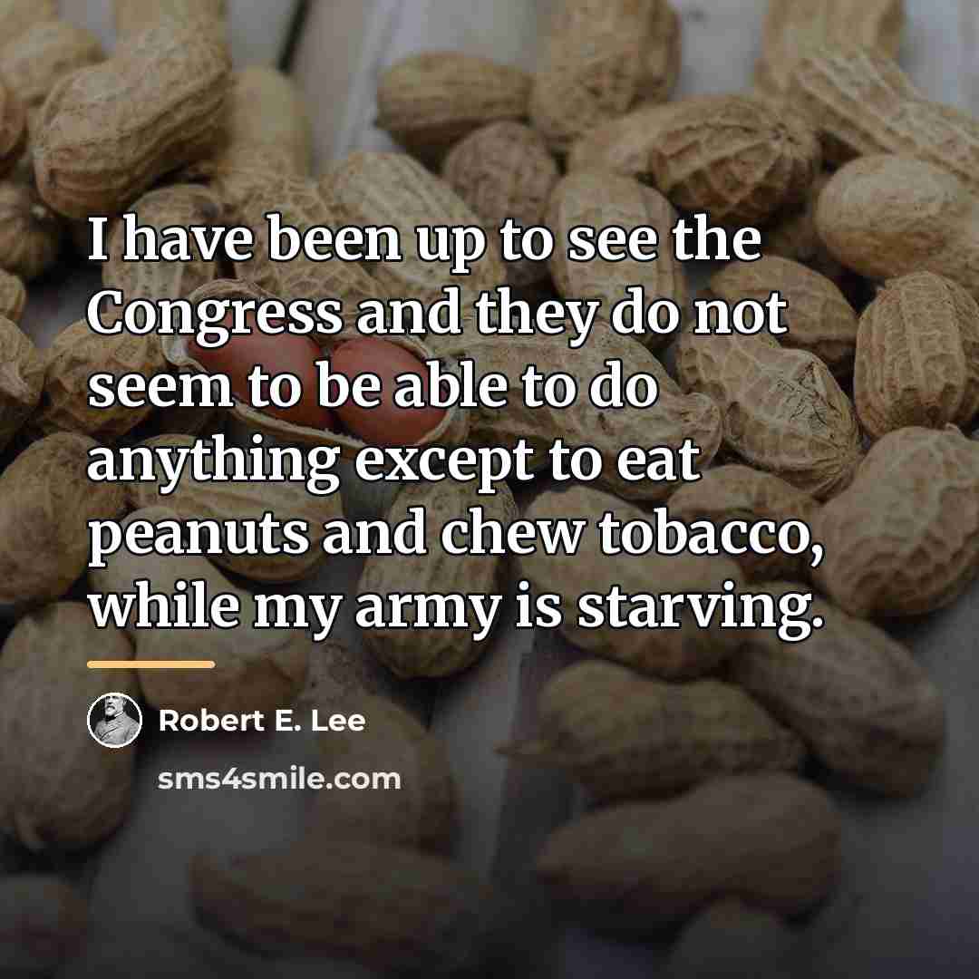 “I have been up to see the Congress and they…” quote by Robert E. Lee