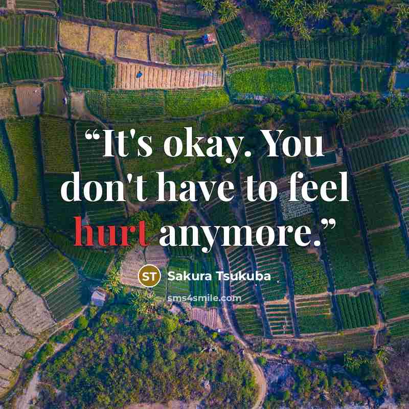 “It's okay. You don't have to feel hurt anymore.” quote by Sakura Tsukuba