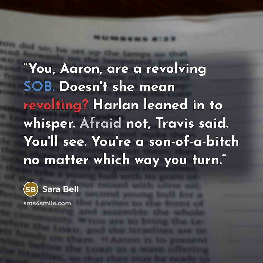 “You, Aaron, are a revolving SOB. Doesn't she mean revolting? Harlan leaned in to whisper. Afraid not, Travis said. You'll see. You're a son-of-a-bitch no matter which way you turn.” quote by Sara Bell