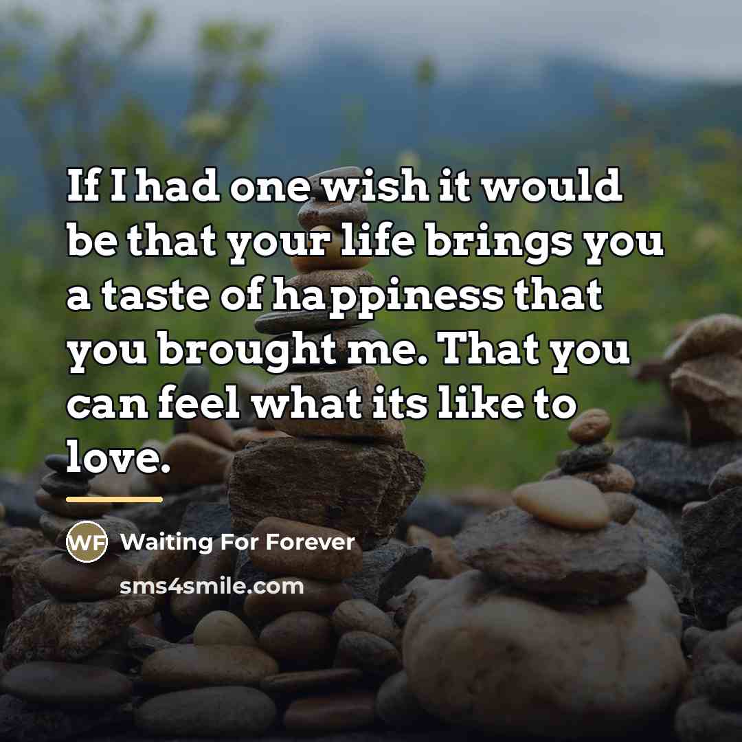 “If I had one wish it would be that your…” quote by Waiting For Forever