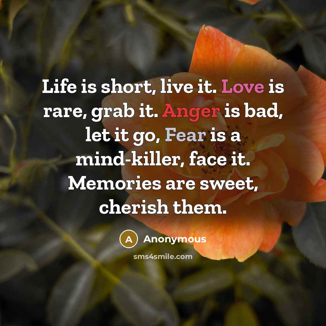 “Life is short, live it. Love is rare, grab it.…” quote by Anonymous