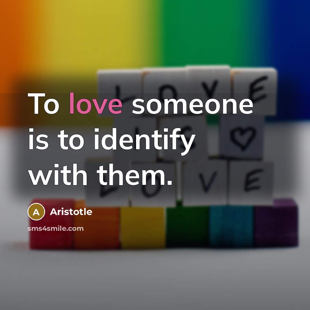 “To love someone is to identify with them.…” quote by Aristotle