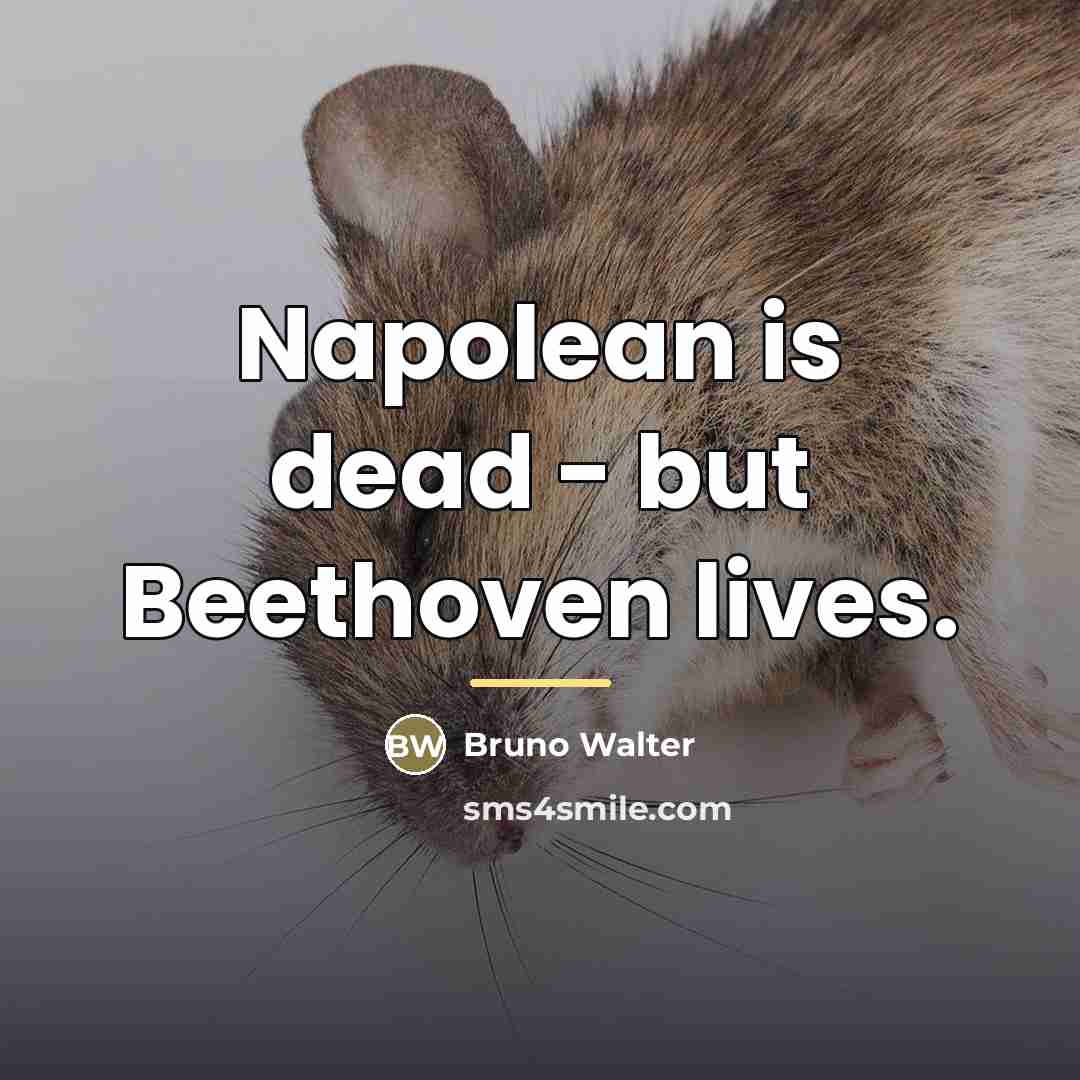 “Napolean is dead - but Beethoven lives.…” quote by Bruno Walter