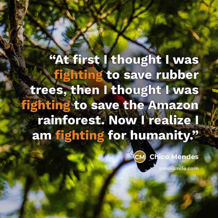 “At first I thought I was fighting to save rubber trees, then I thought I was fighting to save the Amazon rainforest. Now I realize I am fighting for humanity.” quote by Chico Mendes