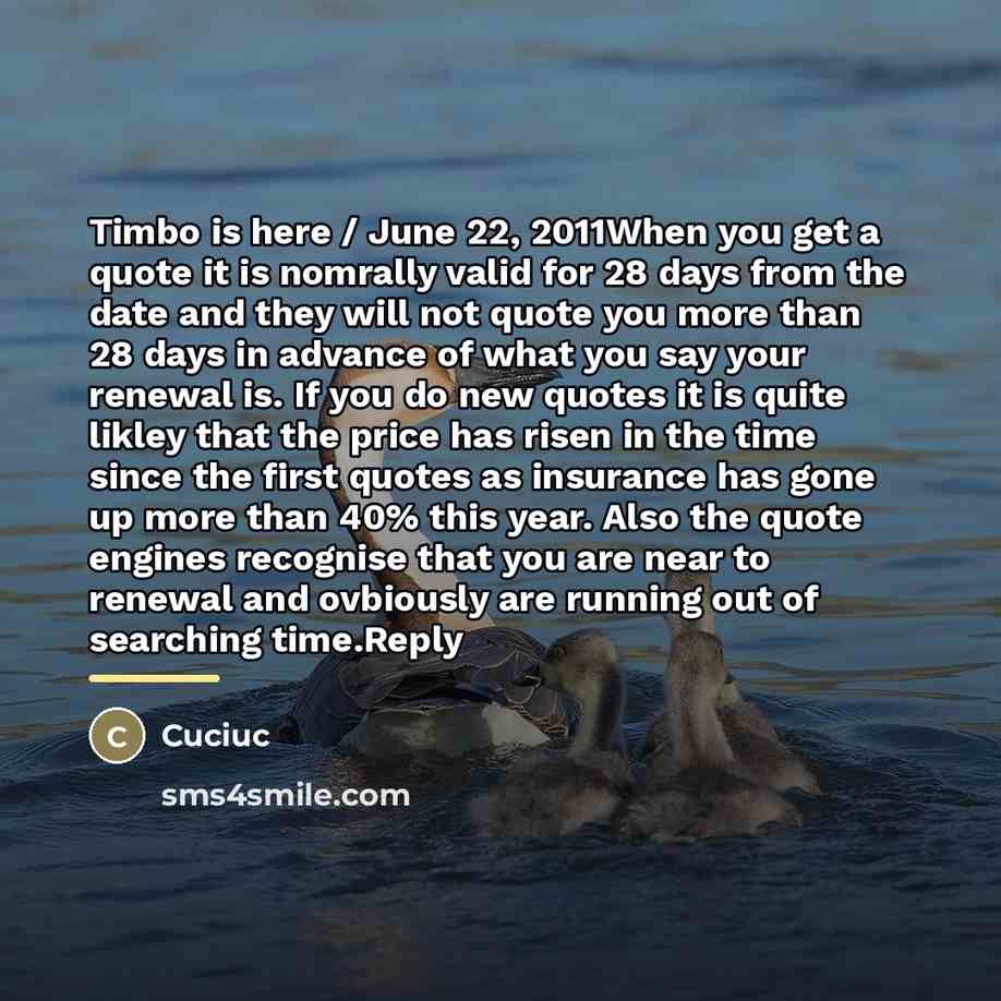 “Timbo is here / June 22, 2011When you get a…” quote by Cuciuc