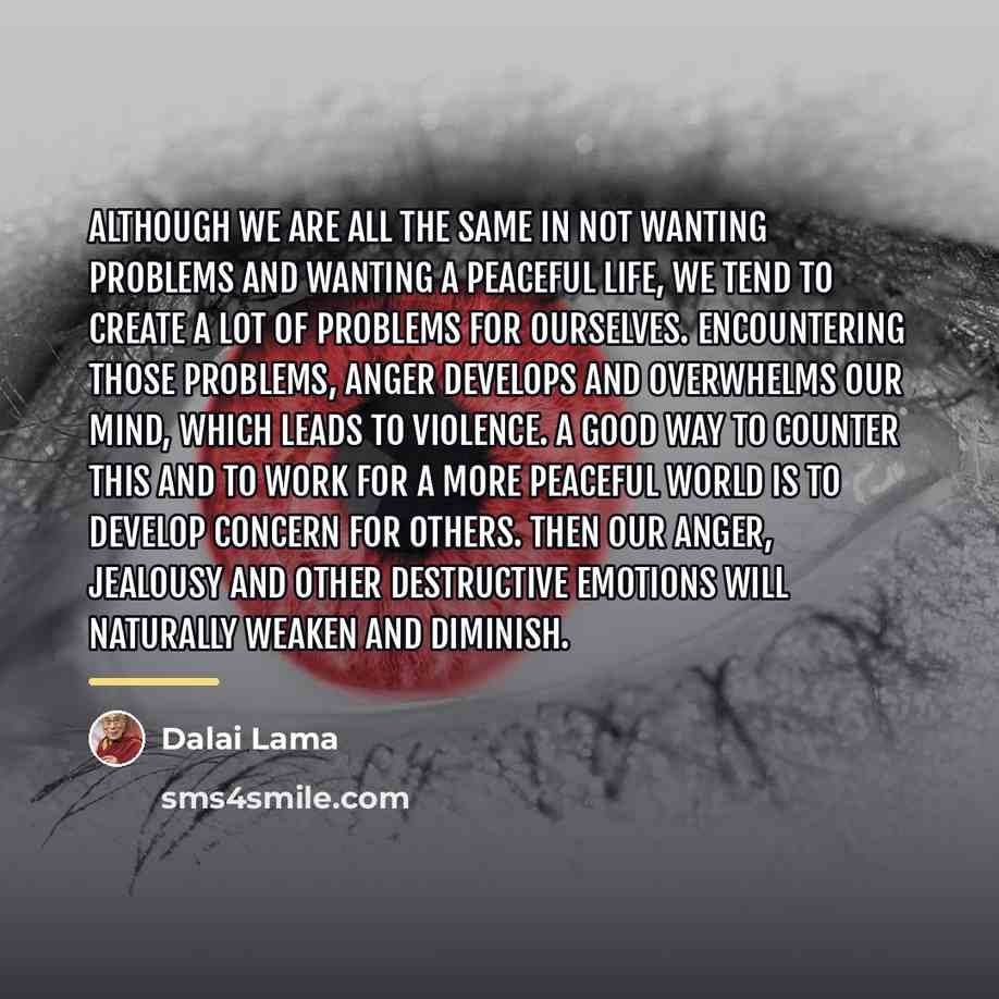 “Although we are all the same in not wanting problems…” quote by Dalai Lama