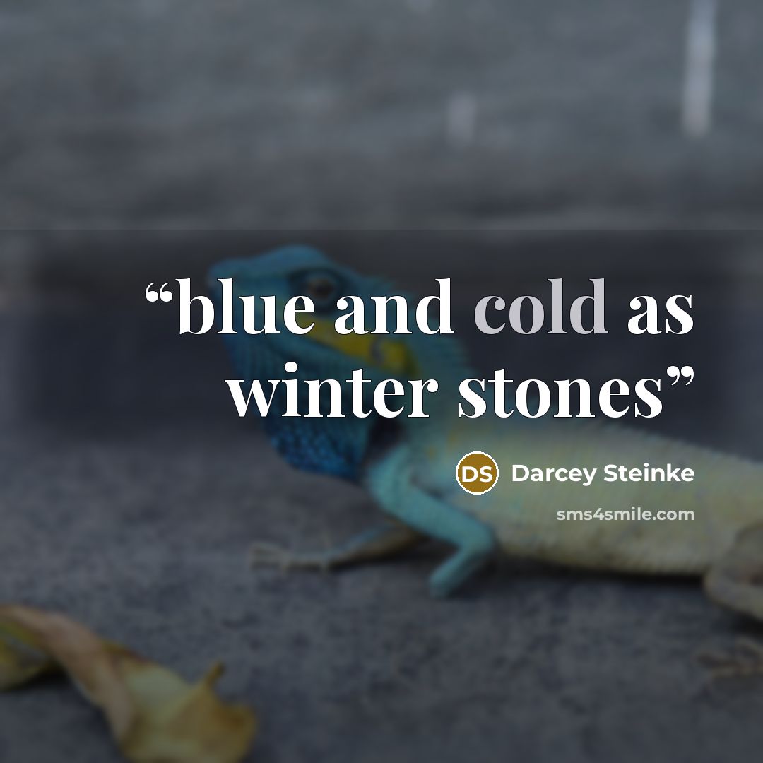 “blue and cold as winter stones” quote by Darcey Steinke